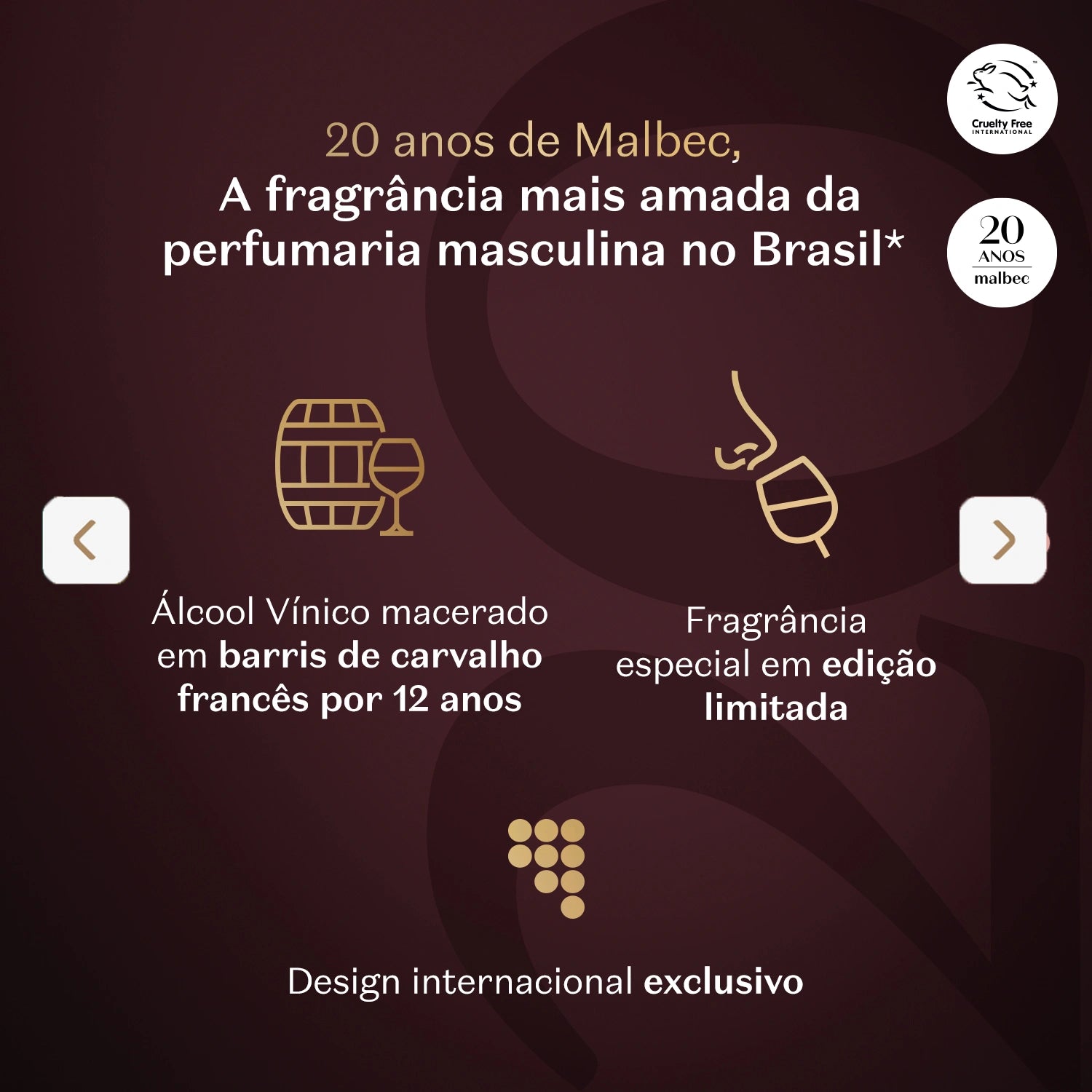 Malbec 20 Anos Desodorante Colônia 100Ml